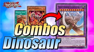 5 MUST KNOW COMBOS!!! | TRANSCENDOSAURUS DINO COMBOS! | POST WILD SURVIVORS! | Yu-Gi-Oh!