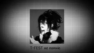 T-fest-не помню(ремикс тикток)