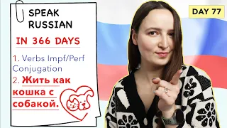 🇷🇺DAY #77 OUT OF 366 ✅ | SPEAK RUSSIAN IN 1 YEAR