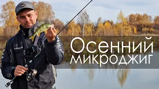 Осенью за щукой и окунем 🍁 Микроджиг на реке