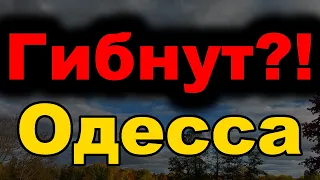 Одесса сегодня. 5 минут назад стало известно! Срочные новости! Одесса новости сейчас