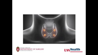 At the Forefront of Parathyroid Disease: Differences in Diagnosis