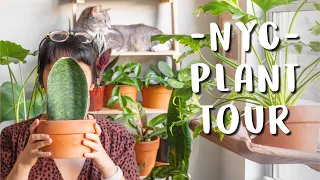 Plant Tour  l  My NYC Apartment 50+ Houseplant Collection