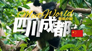 【中国旅遊2024】成都必去景点介绍 | China attractions introduction | 中国哪里好玩 | china travel guide | 成都 旅游 | 雲遊中國