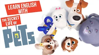 Learn English with The Secret Life of Pets - English listening practice.