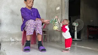 Bibi Harvests Vegetables to Help an Old Woman in Difficulty!