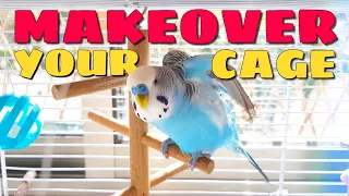 Setting Up Your Parakeet's Cage