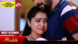 Sevanthi - Best Scenes | 24 Feb 2024 | Kannada Serial | Udaya TV