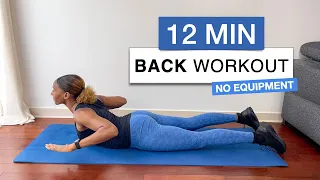 12 MINUTE BACK WORKOUT FOR BETTER POSTURE & STRONGER BACK - beginner & intermediate | No Equipment