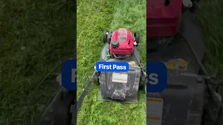 Honda Lawnmower VS Tall Grass / Lawn.