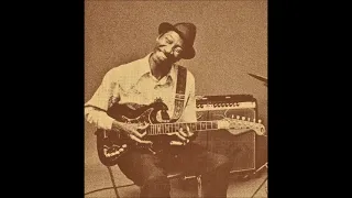 Hound Dog Taylor - 1960-1967