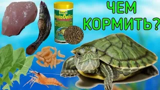 чем кормить красноухих черепах?/рацион красноушек