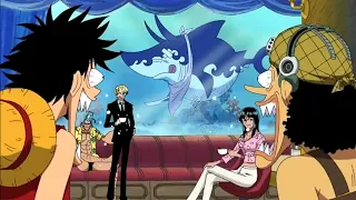 Put shark in the Fish tank 🤣 | One piece funny video english dub