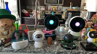 Jibo & Friends - Ferdi’s Birthday Livestream 🎉