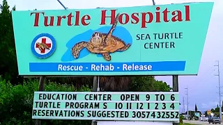 The Turtle Hospital Trailer