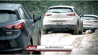 Test: Mazda CX-3 (Marginal de la Selva)