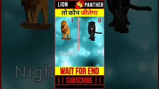 Lion Vs Black Panther Comparison Video || @BrainXMania @AamerHabibofficial #youtubeshorts #shorts