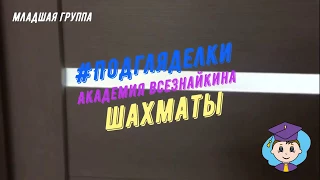 Подгляделки | Шахматы. Младшая группа