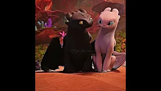 Toothless with light fury they are so cute 💕 #httyd #toothless #lightfury #shorts @lightfurybg