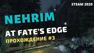 NEHRIM AT FATE'S EDGE | ПРОХОЖДЕНИЕ #3 | Максимильяно и Комби