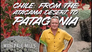 Chile: From the Atacama Desert to Patagonia with Paul Mills of Lotusland