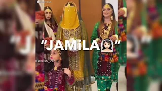 Masi Jamila | Abid Raaz | Balochi Status | New Balochi Song 2023 | Balochi Girl | Tiktok Trending |