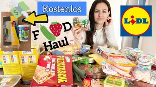 XL Lidl Haul Coupon zum Geburtstag 😲 Mega |Wocheneinkauf Foodhaul | Kostenlose Produkte | Marytuga