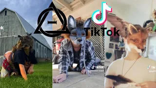 Therian and Quadrobics TikToks || Compilation 🐾🍂 || Alterhumans of TikTok #34