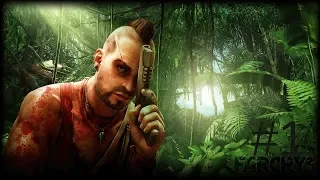 Far cry 3  -  stealth kills/outpost. 1080p/60 FPS