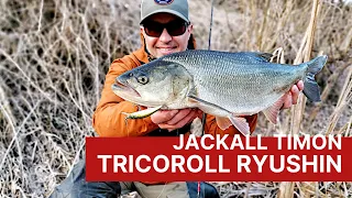 Jackall Timon Tricoroll Ryushin. Воблеры для ловли форели, голавля, жереха на течении