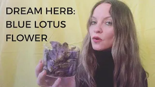 Dream Herb:  Blue Lotus Flower