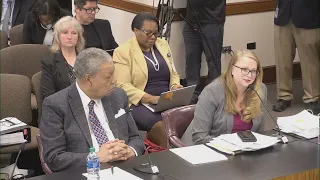 Fani Willis investigation Georgia Senate hearing | Part 1