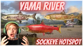 Russian Fishing 4 Yama River Sockeye Active Spot