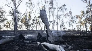 Australian bushfires leave 3 dead, destroy over 150 homes