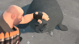 pet the seal