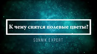 К чему снятся полевые цветы - Онлайн Сонник Эксперт