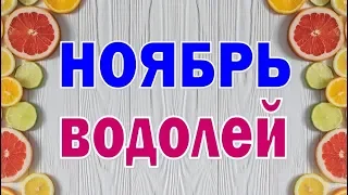 ВОДОЛЕЙ. НОЯБРЬ 2019. (БОНУС - СКАЗКА) Таро прогноз гороскоп