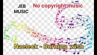 Naeleck - Burning Wish (feat. Ronit) | Slap House | No Copyright Music | NCS |