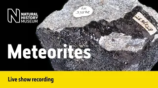 Meteorites | Live Talk with NHM Scientist