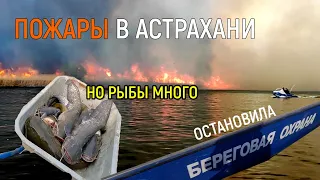 БЕШЕНЫЙ КЛЕВ! ПОЖАРЫ В АСТРАХАНИ! ОСТАНОВИЛА БЕРЕГОВАЯ ОХРАНА! ПРОВЕРКА ПРОПУСКОВ