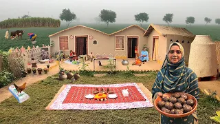 Unseen Woman Village Life Pakistan in Winter Fog | Old Culture | Village Food | Stunning Pakistan
