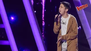 Josef Fečo - MIKA : Grace Kelly | The Voice Česko Slovensko 2019