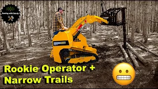 Mini Skid Steer Goes DEEP into the Woods Stacking Logs