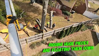 Insane storm tree removal