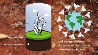 Soil Organic Carbon – the treasure beneath our feet