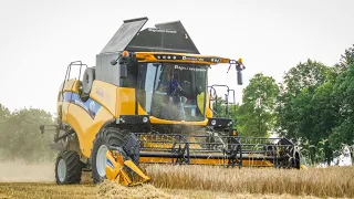 Żniwa 2023! Jęczmień Ozimy Pod Kosę - Żniwa na Mazowszu [NewHolland, Kubota] Agriculture Ceranów