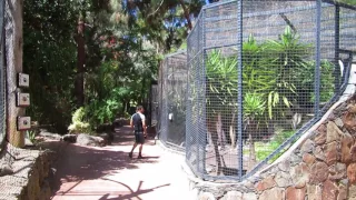 Exploring Palmitos Park Animal park Maspalomas Las Palmas Spain 2017