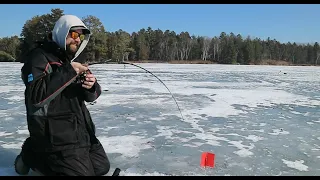 The Fish No One Talks About In The Winter (IFISH PRO DAY)