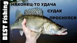 НАКОНЕЦ-ТО ПРОСНУЛСЯ ОСЕННИЙ СУДАК! Открытие осеннего сезона по судаку!