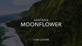 Santana Flor D'Luna Moonflower (Xavier Julià cover)